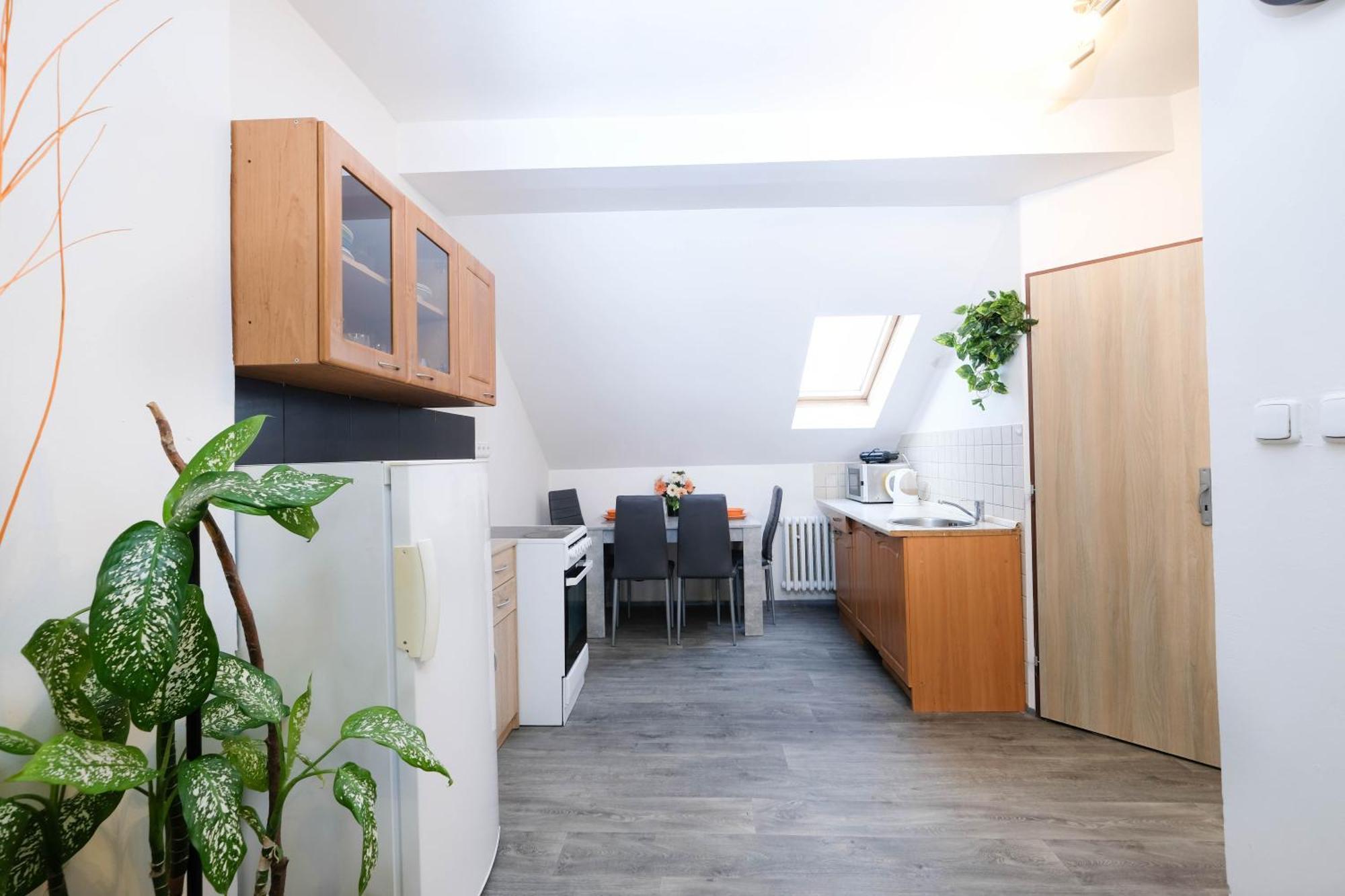 Apartments Alena - Karlowe Wary Zewnętrze zdjęcie